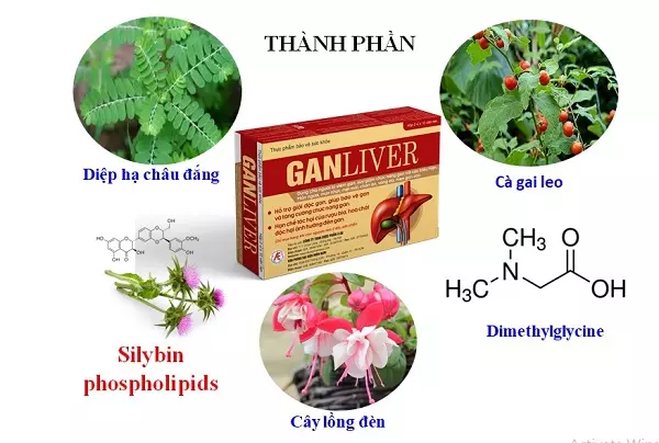 Ganliver-giup-uc-che-su- su-phat-trien-cua-virus-tang-cuong-chuc-nang-gan.webp